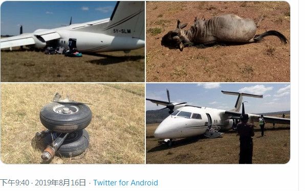 肯尼亞一架飛機(jī)降落時與角馬相撞，機(jī)上乘客均未受傷-海運(yùn)費(fèi)在線查詢
