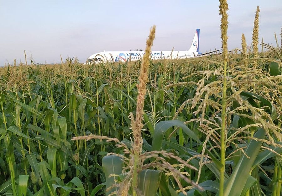 俄羅斯硬核機(jī)長把飛機(jī)硬著陸玉米地，拯救了整飛機(jī)的人！機(jī)組成員獲授國家榮譽(yù)