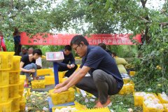 南美國際空運(yùn)-南航十年架起18萬人的援疆之路