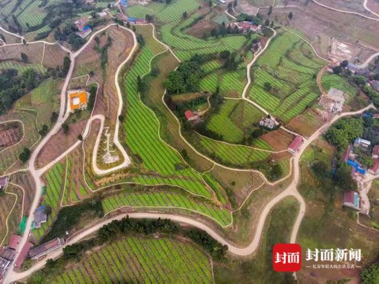 瞄準(zhǔn)國家級現(xiàn)代農(nóng)業(yè)產(chǎn)業(yè)園區(qū)資陽萬畝佛山橘海將“大變臉”