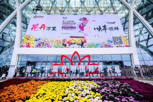 以色列空運-鮮花“十二時辰” 看順豐助力“云花”出滇