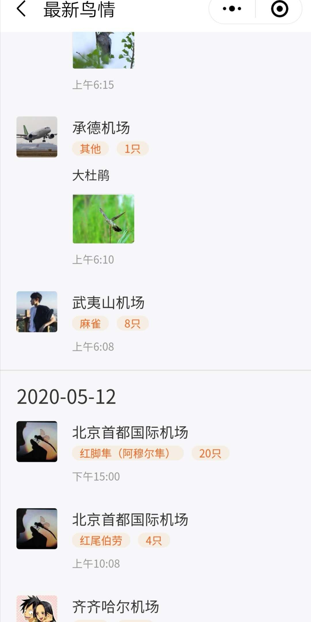 在“最新鳥情”欄目中，各地機場發(fā)布鳥情“朋友圈”?！傍B情共享平臺”小程序截圖