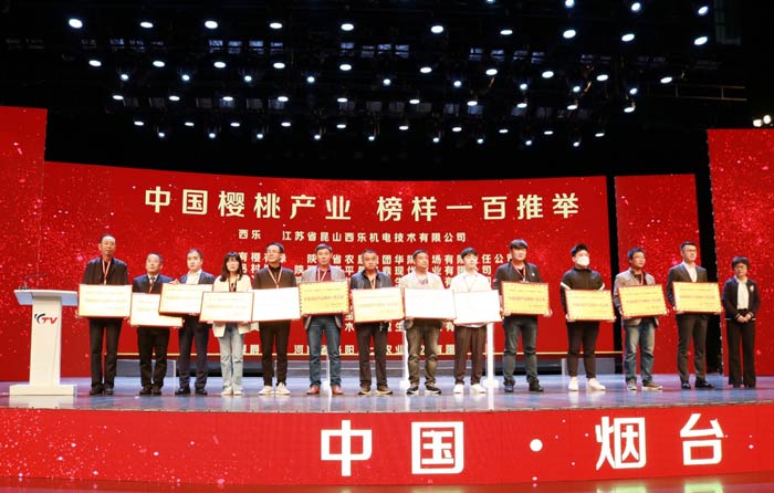 大會授予順豐“中國櫻桃產(chǎn)業(yè)榜樣100品牌”稱號