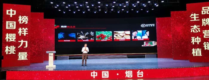 順豐發(fā)布2020年櫻桃寄遞解決方案