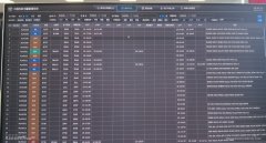瑞麗航空順利完成中國民航流量管理系統(tǒng)的接入
-空運(yùn)到智利