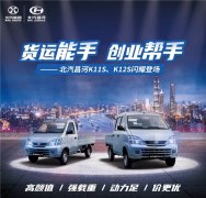 北汽昌河微卡 “貨運(yùn)人”段位提升神器
-國(guó)際海運(yùn)