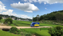 站上全面推進鄉(xiāng)村振興的歷史新起點
-美國海派
