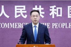 給中國國內(nèi)產(chǎn)業(yè)造成實質(zhì)性損害
-深圳雙清包稅